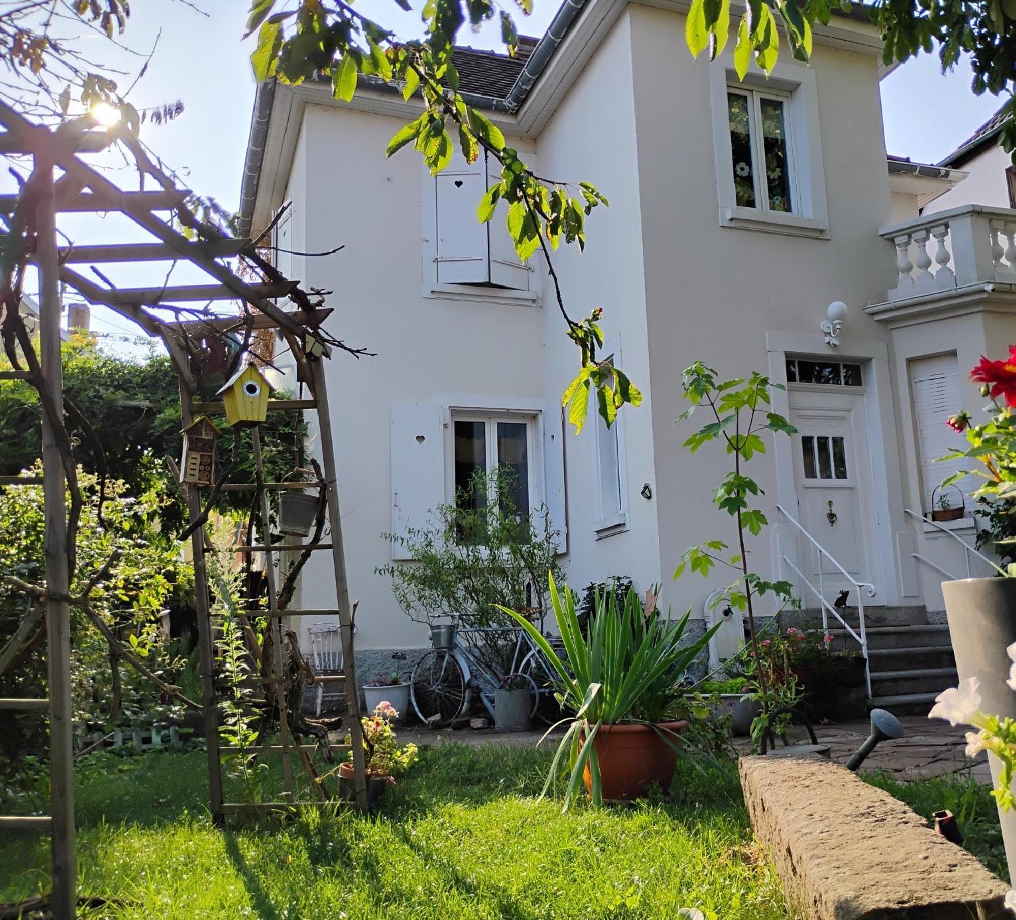 Gite Le Marronnier - Au Calme - Parking & Terrasse - Pres De Colmar Et Riquewihr - Route Des Vins Châtenois 외부 사진